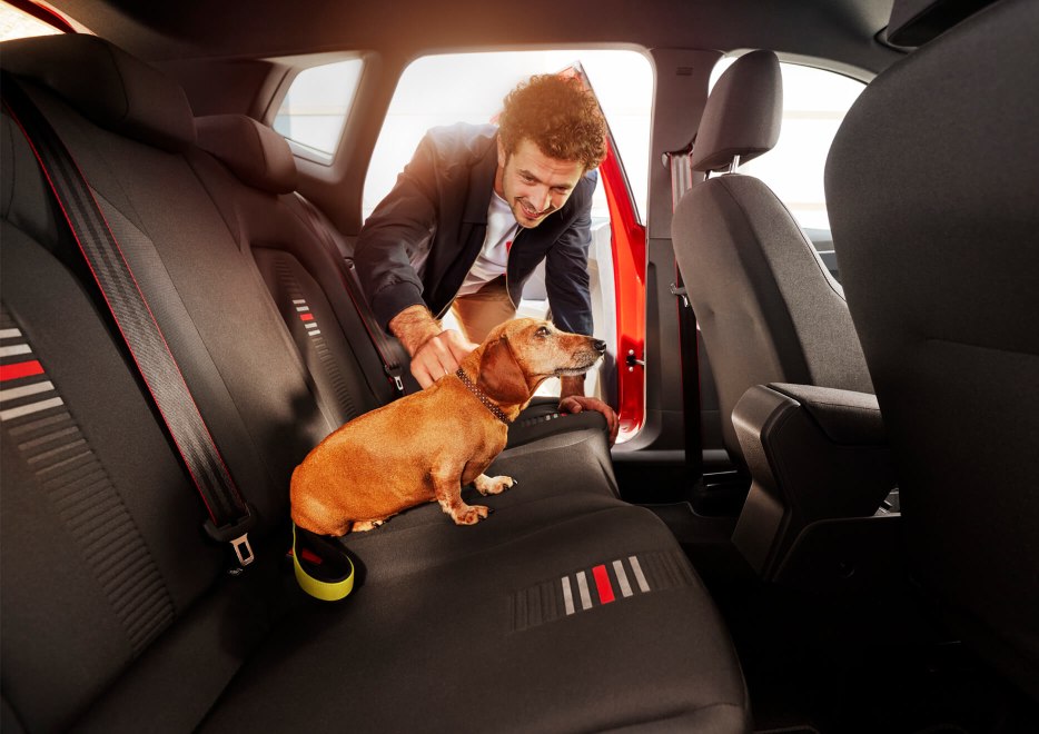 SEAT Arona - Dog on back seat